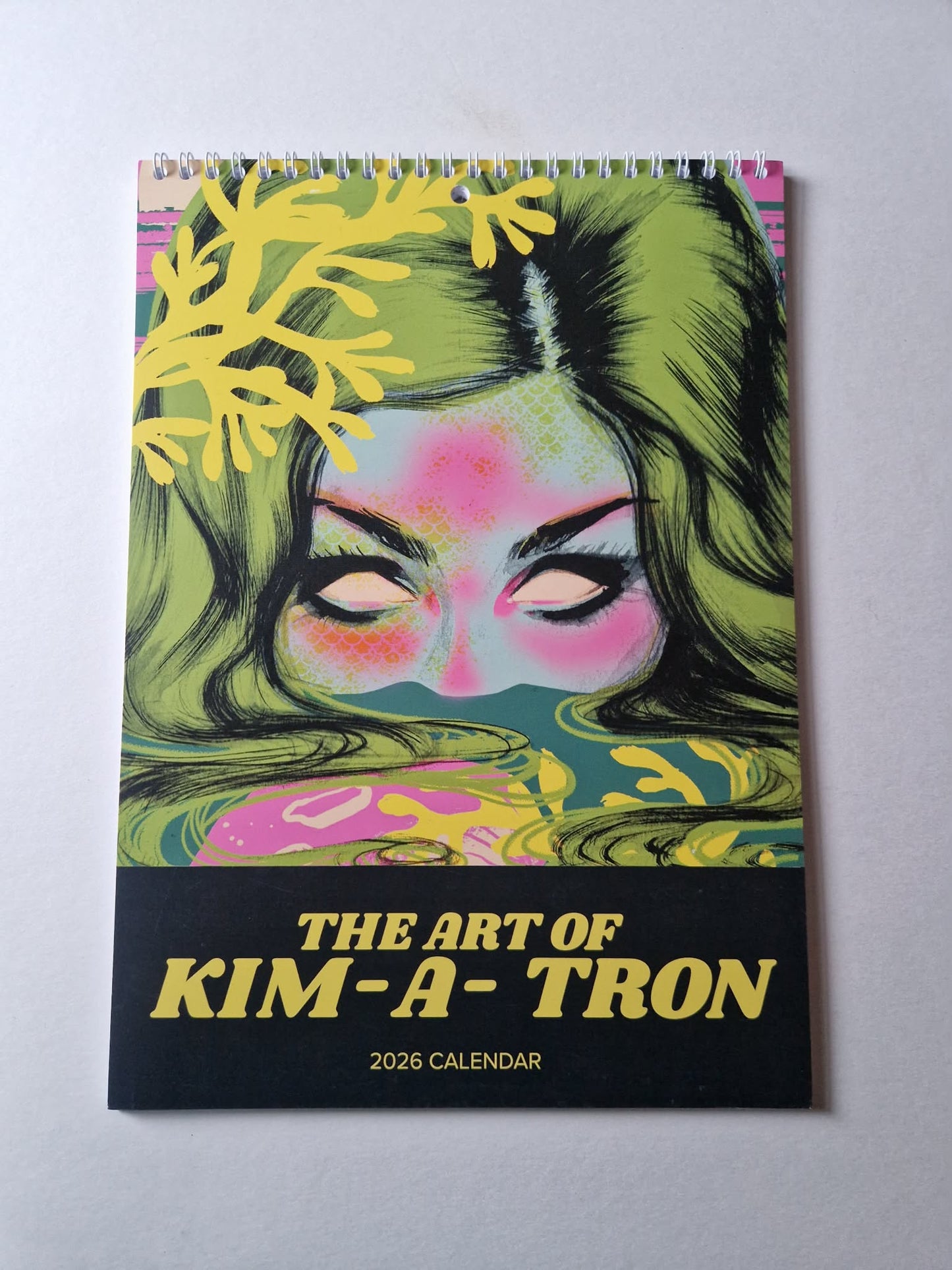 PRE ORDER: The Art of Kim-A-Tron Calendar 2026